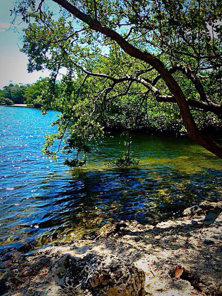 12744490_10153411807586409_1946384156976302758_n