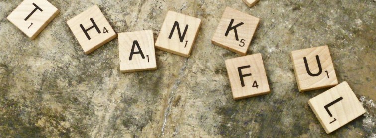 635836294504700234-395486363_thankful