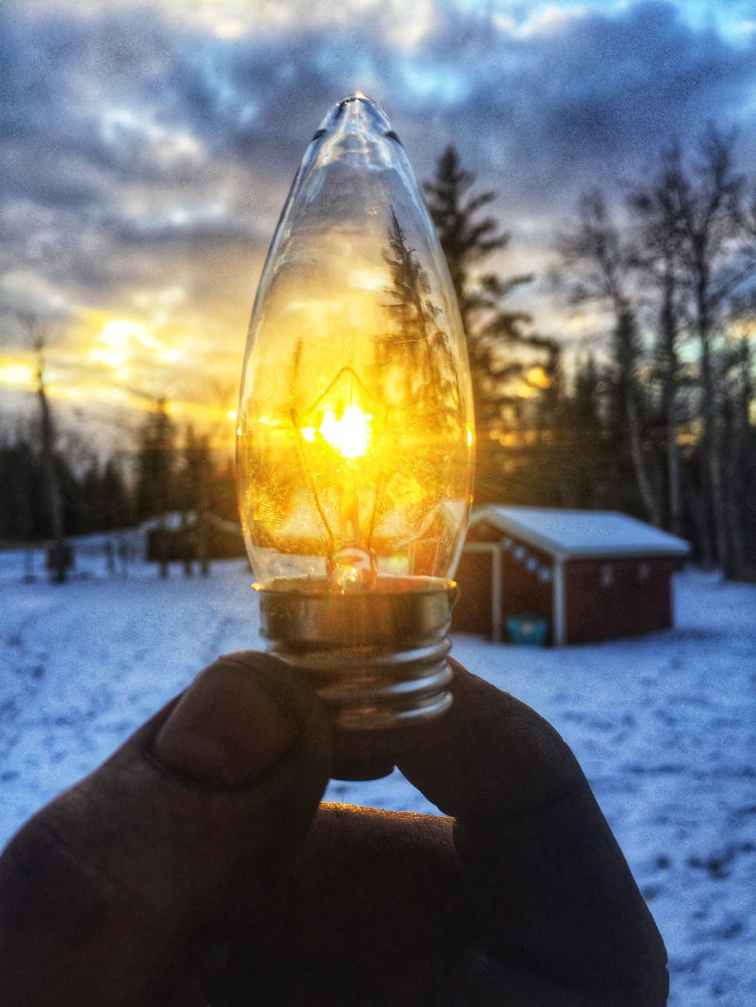 person holding led bulb in front of sunrise photo